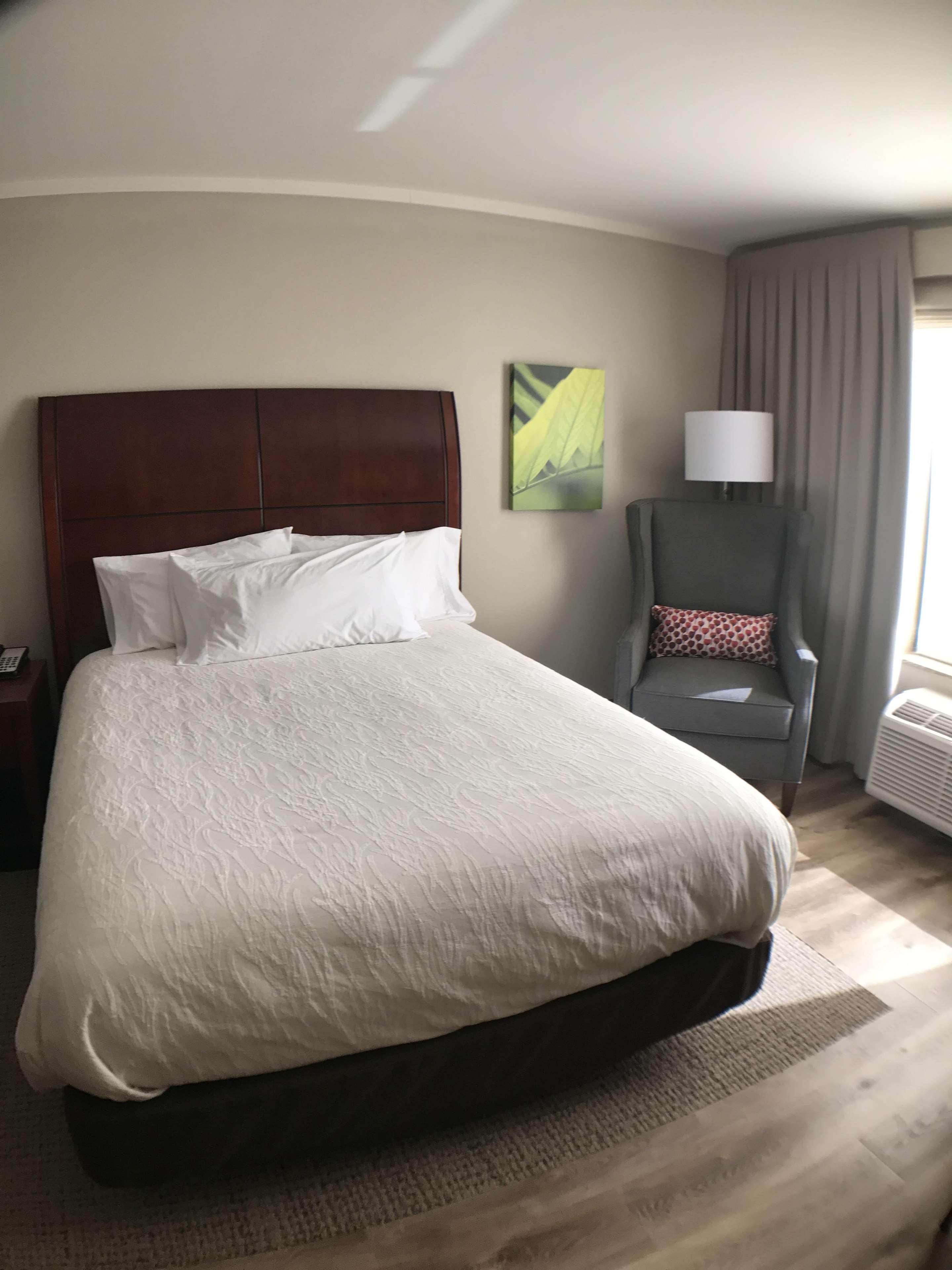 Hilton Garden Inn Bowling Green Exterior foto
